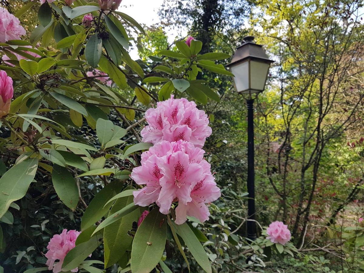 Chateau De La Rose Cluis 外观 照片